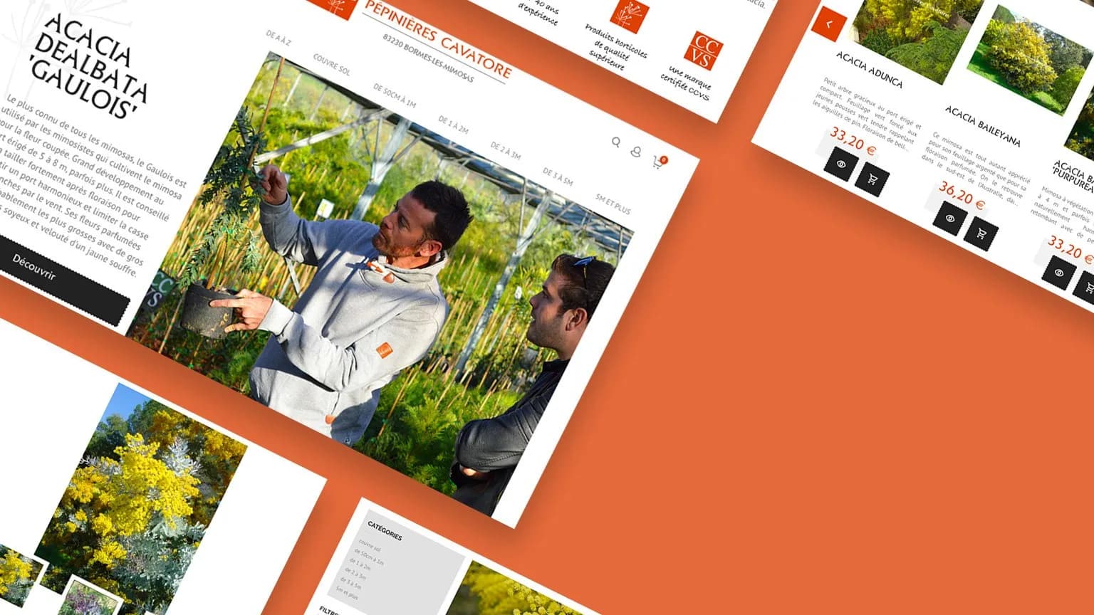 Pépinières Cavatore